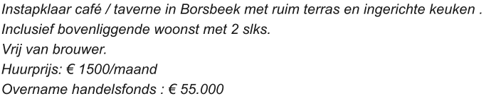 Instapklaar café / taverne in Borsbeek met ruim terras en ingerichte keuken .  Inclusief bovenliggende woonst met 2 slks.  Vrij van brouwer.  Huurprijs: € 1500/maand  Overname handelsfonds : € 55.000